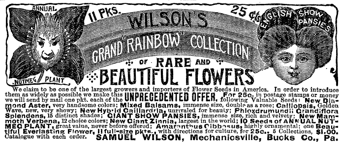 Wilsons Grand Rainbow Collection, Garden and Forest Jan 01, 1890, pg. iv